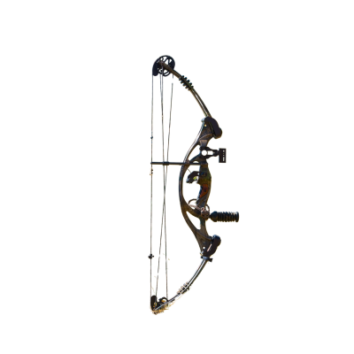 Bow1